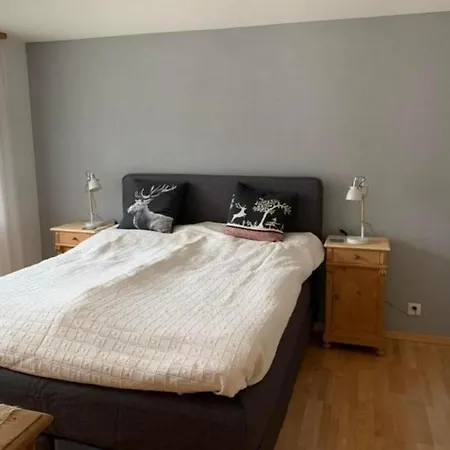 Gilbach Haus C Daire Adelboden